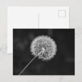 Toon aan zaad briefkaart (Voorkant / Achterkant)