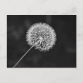 Toon aan zaad briefkaart (Voorkant)