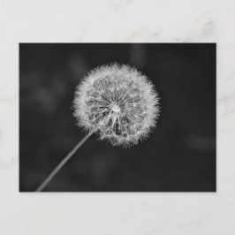 Toon aan zaad briefkaart