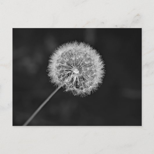 Toon aan zaad briefkaart (Voorkant)