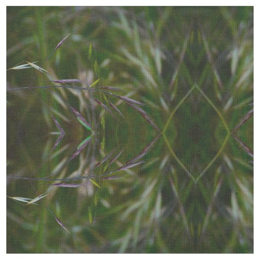 Toon aan zaad stof (Close Up)