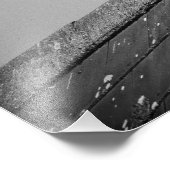 Toon duif op een dak foto afdruk (Hoek)