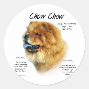 Toon Geschiedenis Ontwerp Ronde Sticker