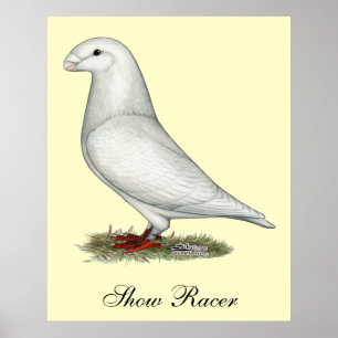 Toon het Wit van de Raceauto Poster