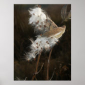 Toon met wind poster (Voorkant)