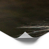 Toon met wind poster (Hoek)