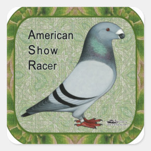 Toon Ontworpen Raceauto Vierkante Sticker