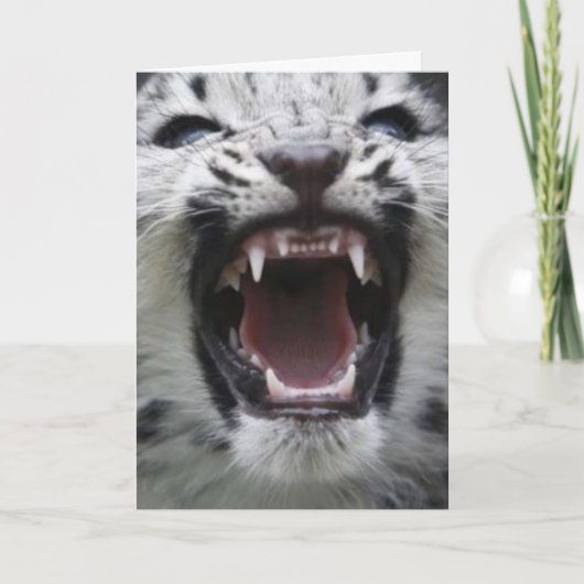 toon uw tanden kaart (Voorkant)