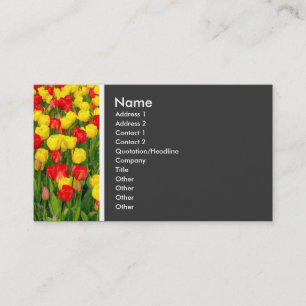 Toon van textiel (kleurrijke Tulpen) Visitekaartje