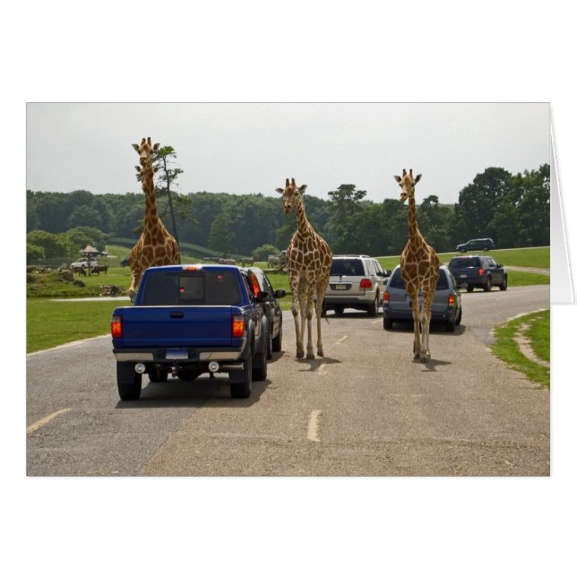 Toonaangevend verkeer (Voorkant Horizontaal)