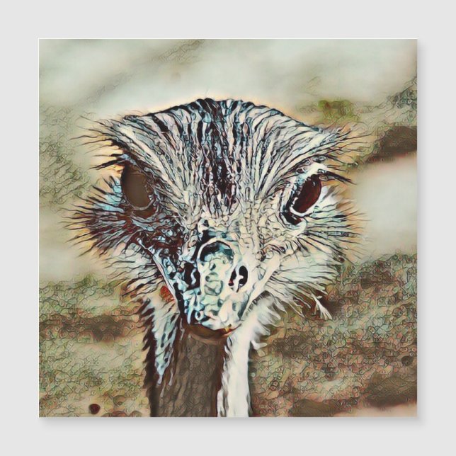 toonbeeld (Voorkant)