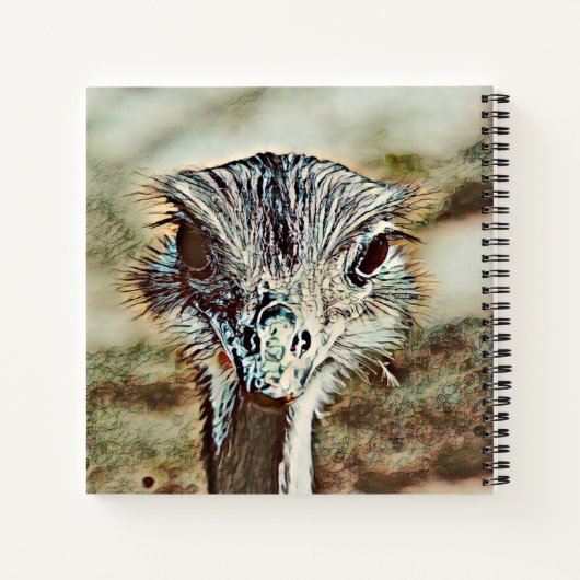 toonbeeld notitieboek (Achterkant)