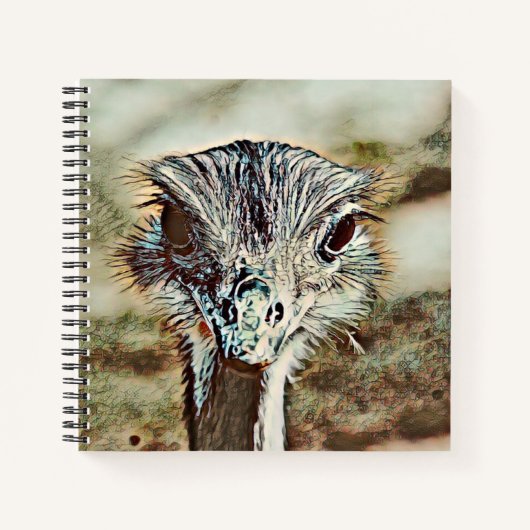 toonbeeld notitieboek (Voorkant)