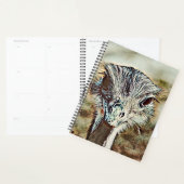 toonbeeld planner (Display)