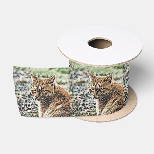 toonkat satijnen lint (Spoel)