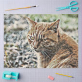 toonkat tissuepapier (Craft)
