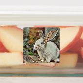 toonkonijntje labels (Aangebracht)