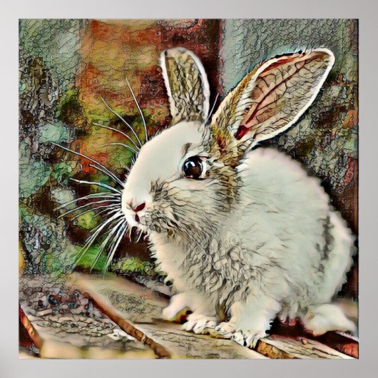 toonkonijntje poster (Voorkant)