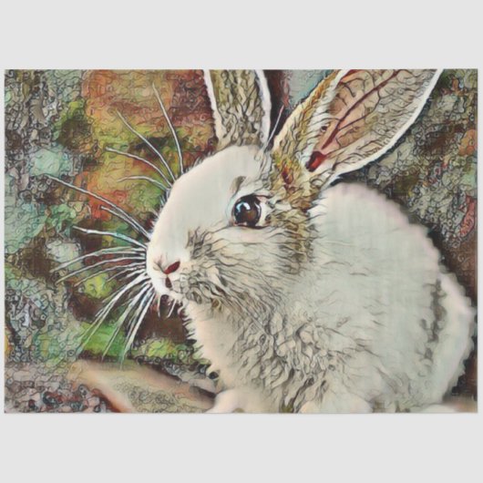 toonkonijntje tissuepapier (Voorkant)