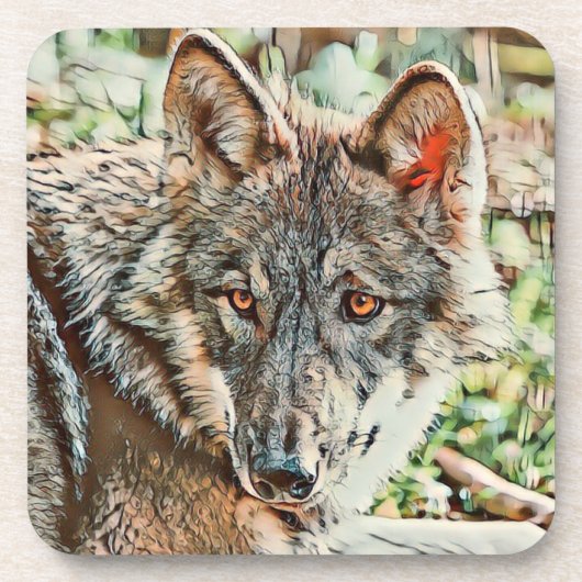 toonwolf bier onderzetter (Voorkant)