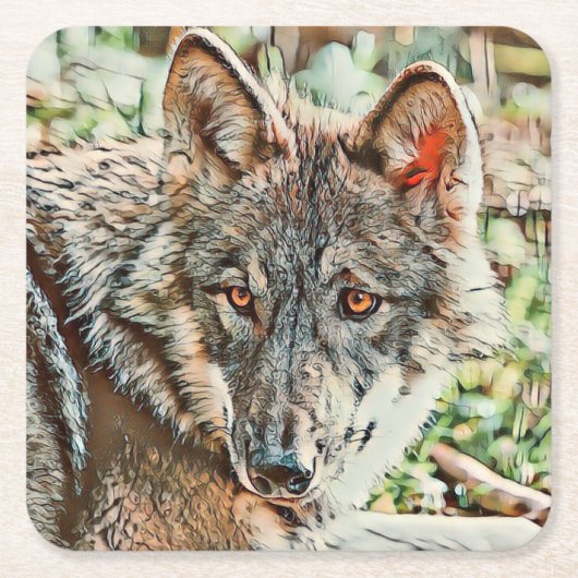 toonwolf kartonnen onderzetters (Voorkant)