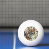 toonwolf pingpongbal (Net)