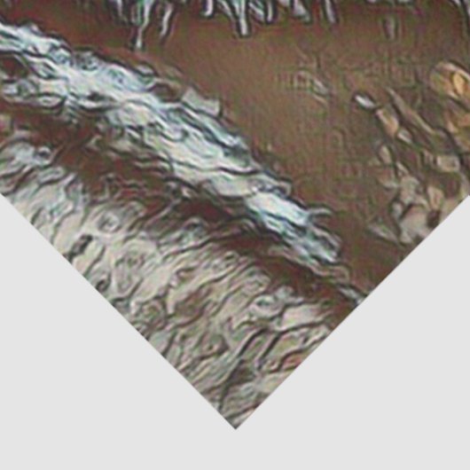 toonwolf tissuepapier (Detail)