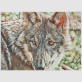 toonwolf tissuepapier (Voorkant)