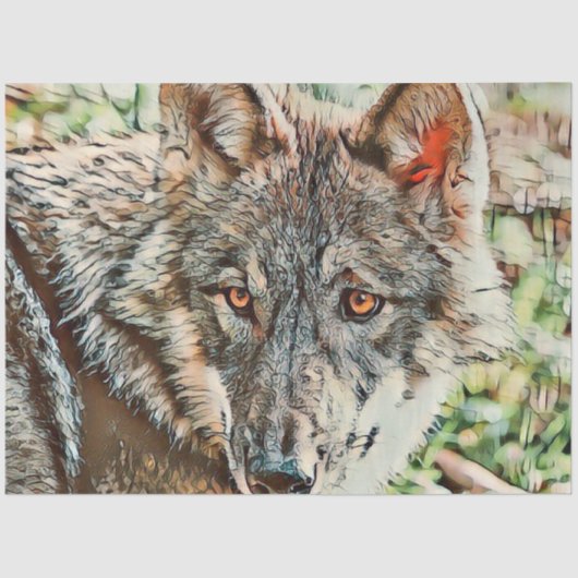 toonwolf tissuepapier (Voorkant)