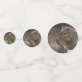 toony Capibarah Confetti (Achterkanten)