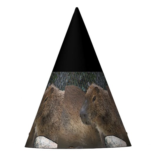toony Capibarah Feesthoedjes (Voorkant)