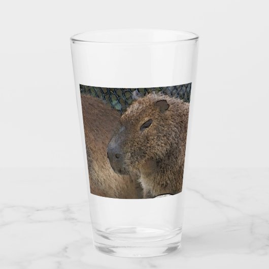 toony Capibarah Glas (Voorkant)