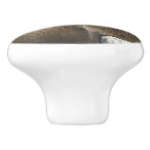 toony Capibarah Keramische Knop (Zijkant)