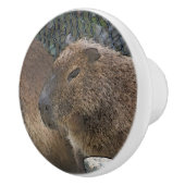 toony Capibarah Keramische Knop (Rechts)