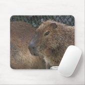 toony Capibarah Muismat (Met muis)
