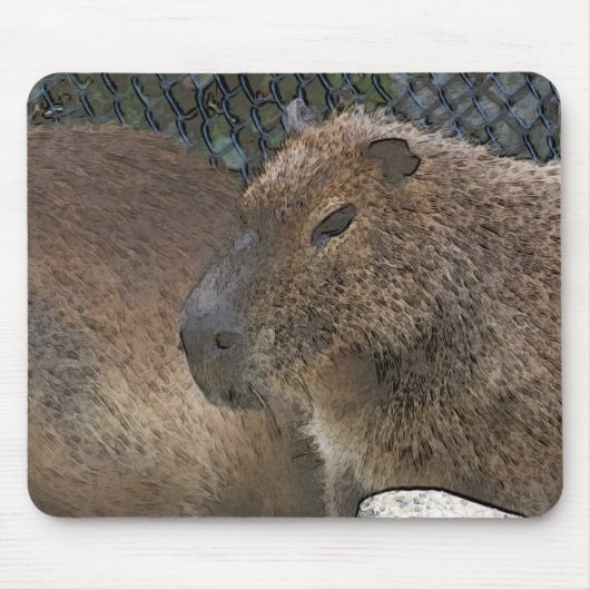 toony Capibarah Muismat (Voorkant)