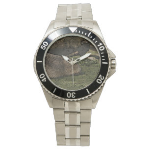 toony capy 2 horloge