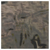 toony capy 2 stof (Close Up)