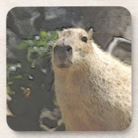toony capy 3