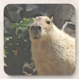 toony capy 3 bier onderzetter
