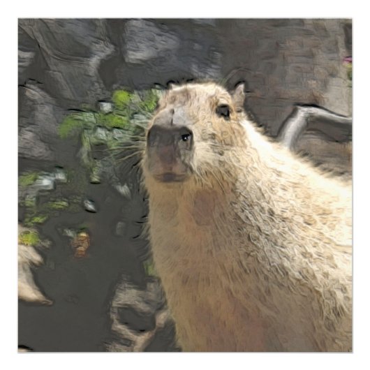 toony capy 3 foto afdruk (Voorkant)