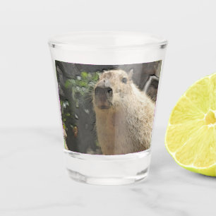 toony capy 3 shot glas