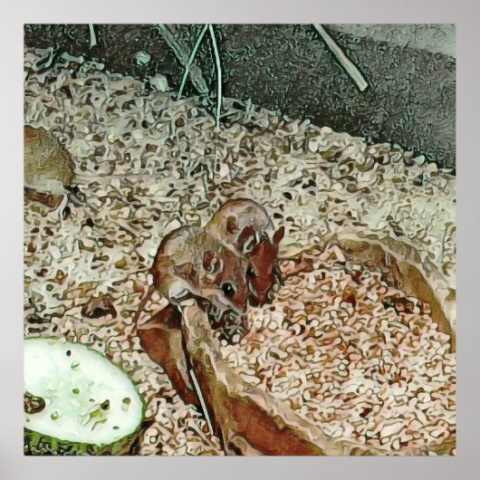 Toony dwergmuizen poster (Voorkant)