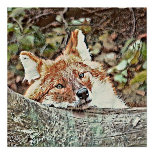 Toony Fox Perfect Poster