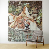 Toony Fox Wandkleed (In situ)