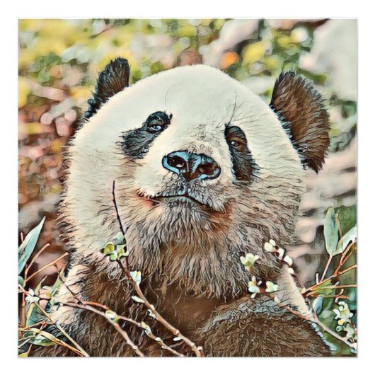 toony panda foto afdruk (Voorkant)