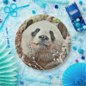 toony panda papieren bordje (Feest)