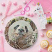 toony panda papieren bordje (Feest)