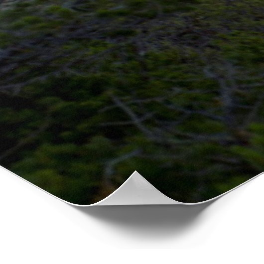 Tooth Of Time, Philmont Scout Ranch, Cimarron Poster (Hoek)