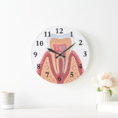 TOOTH STRUCTURE GROTE KLOK (Huis)